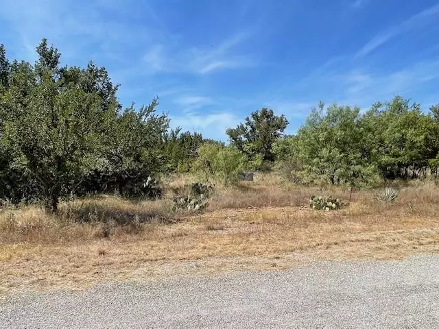 Brownwood, TX 76801,Lot 32 Jennifer Lane