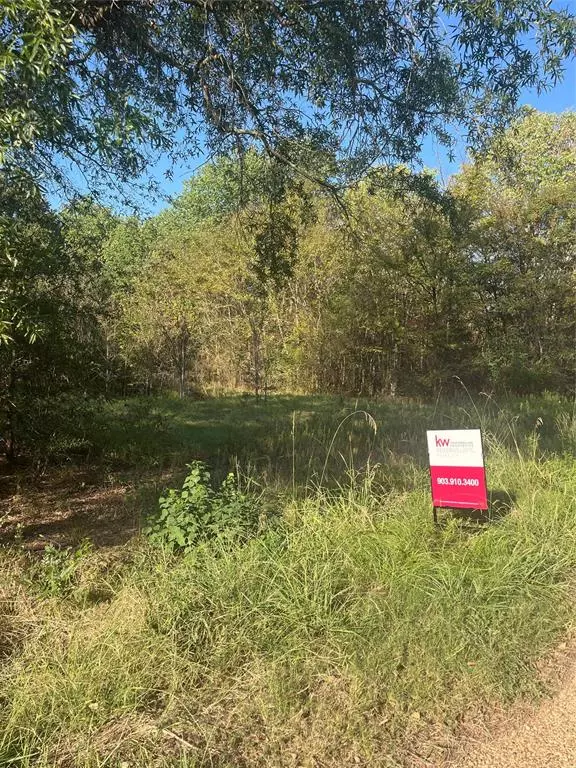 Mabank, TX 75156,TBD Lazy Launch Lane