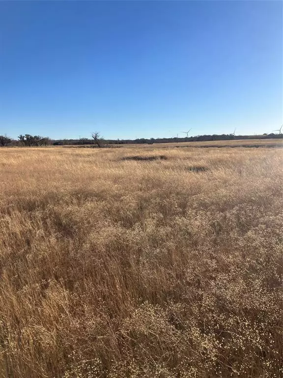 Hamilton, TX 76531,lot 2 CR 393