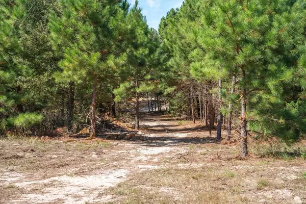 Tract 2 Pvt Rd 8079 Road, Ben Wheeler, TX 75754