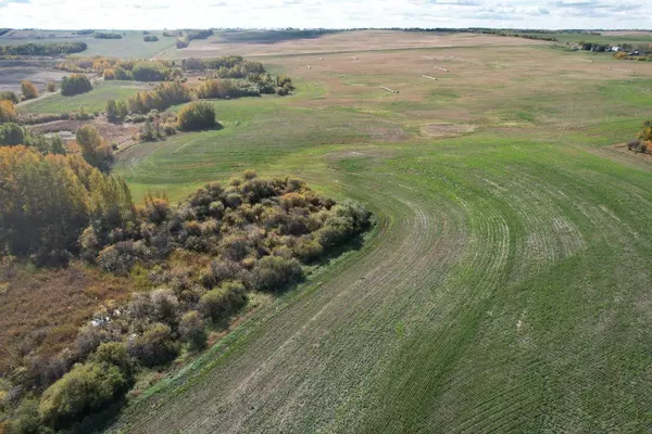 Rural Ponoka County, AB T0B 0H0,On Range Road 233