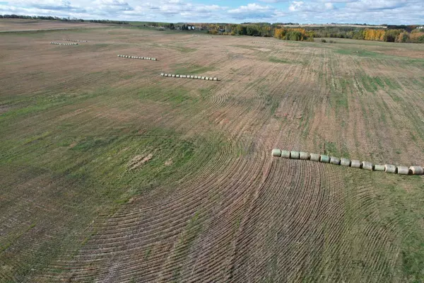 Rural Ponoka County, AB T0B 0H0,On Range Road 233