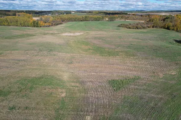 Rural Ponoka County, AB T0B 0H0,On Range Road 233