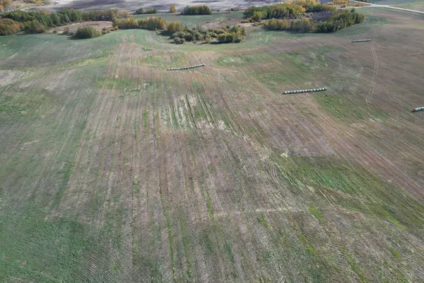 Rural Ponoka County, AB T0B 0H0,On Range Road 233