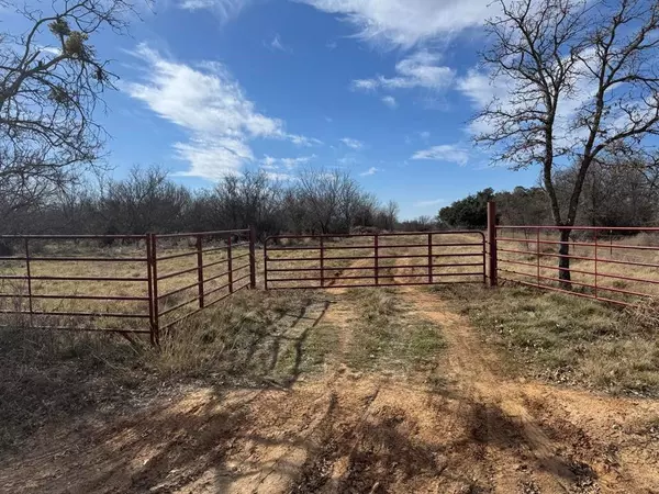 Rising Star, TX 76471,000 County Road 290 Road