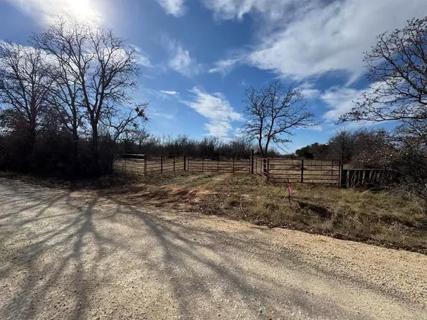 Rising Star, TX 76471,000 County Road 290 Road