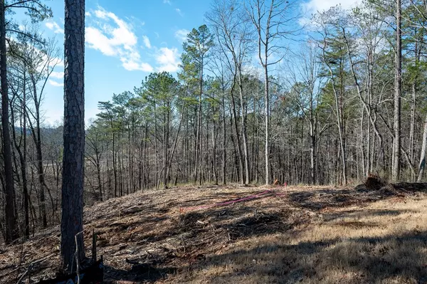 Talking Rock, GA 30175,Lot 318 Pebble Trace