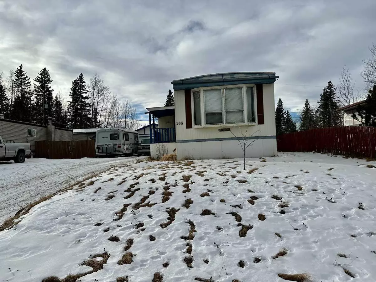 Hinton, AB T7V 1M6,103 Larch Street