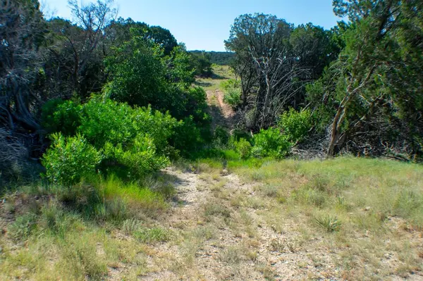 Ovalo, TX 79562,0000 Cr 194