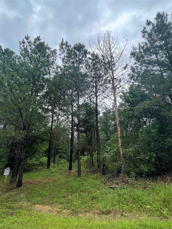 16 Cedar Hills Lakes, Broken Bow, OK 74728