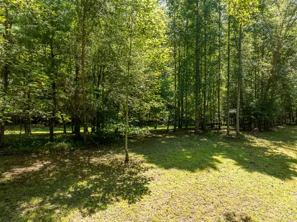 Blue Ridge, GA 30513,0 Hogback Drive