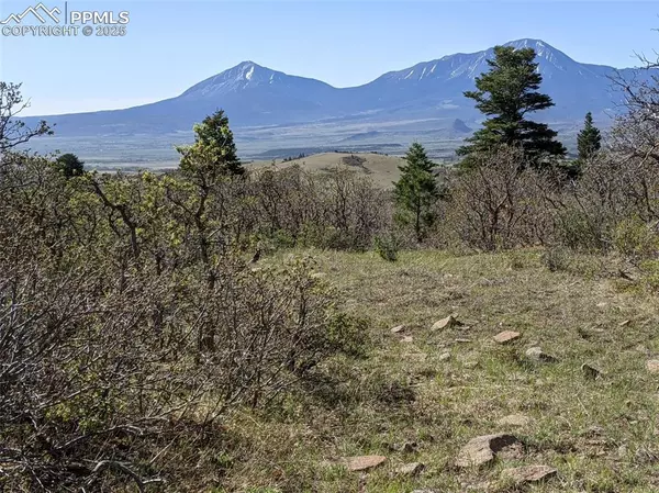 Lot 66 Highway 160, La Veta, CO 81055