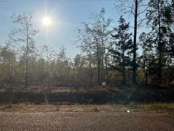 2 Lake Road, Plain Dealing, LA 71064