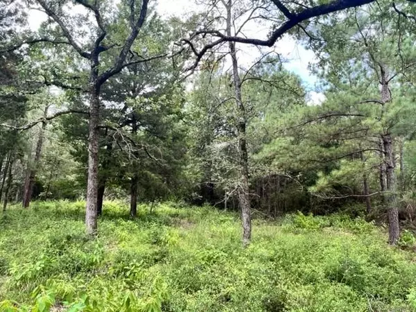 Fairfield, TX 75855,Lot 33 High View Drive