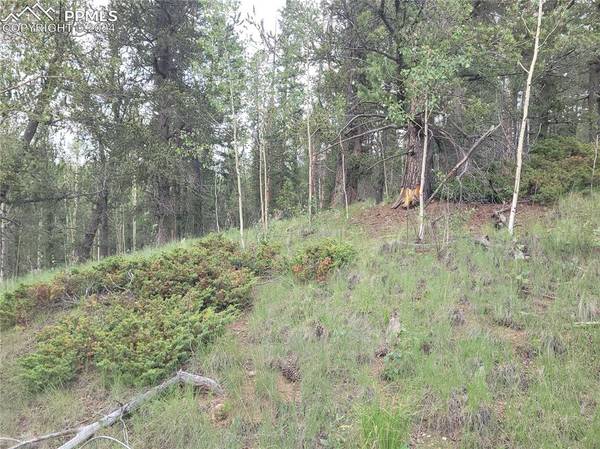 2455 Yorktown RD, Cripple Creek, CO 80813