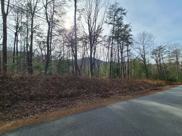 M20 Skyview Drive, Ellijay, GA 30536