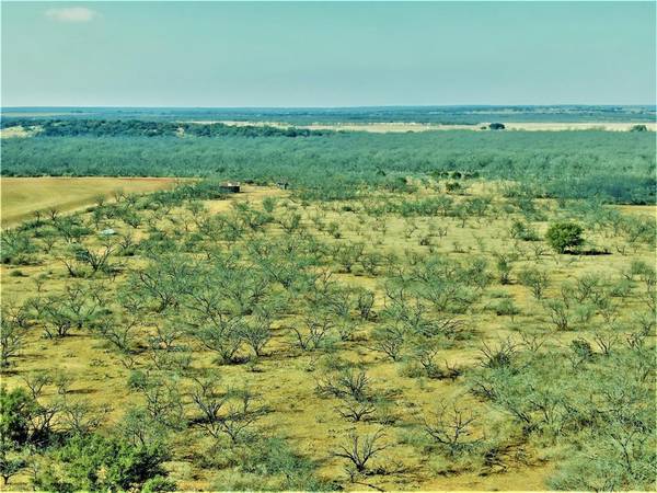 Bangs, TX 76823,TBD County Road 163