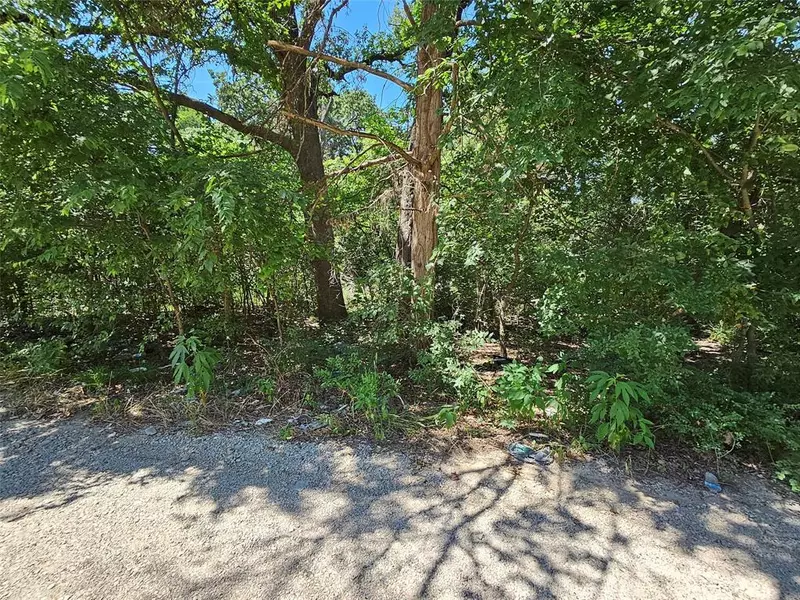 Lot 1 Bird Hill Drive, Quinlan, TX 75474