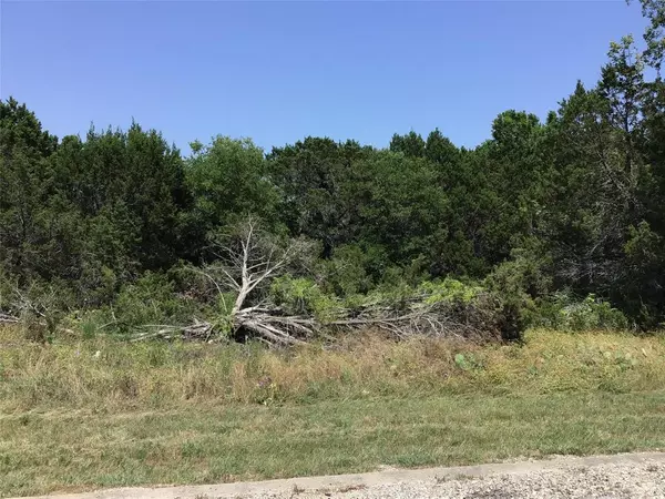 45120 Fire Barrel Drive, Whitney, TX 76692