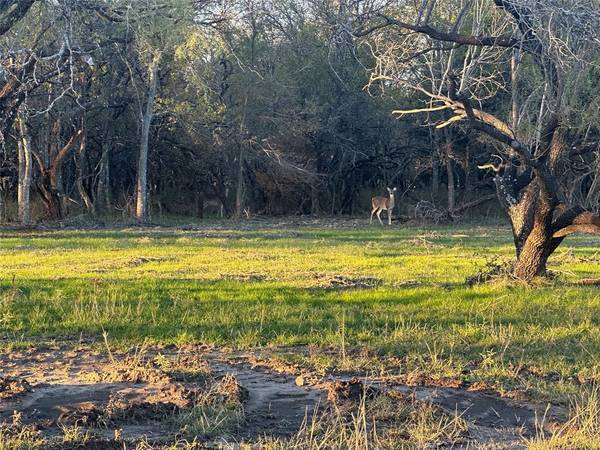 Corsicana, TX 75109,Lot 9 Grison Circle