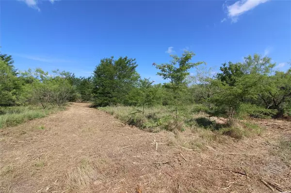 Kaufman, TX 75142,TBD Lot 4 County Road 146