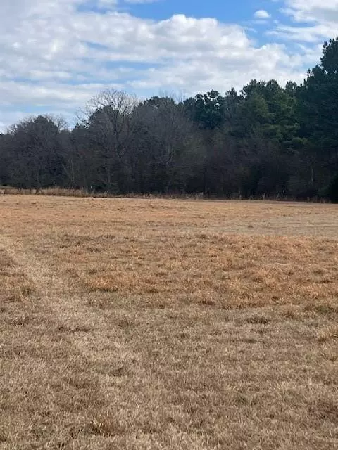 Yantis, TX 75497,Lot 3 CR 1813