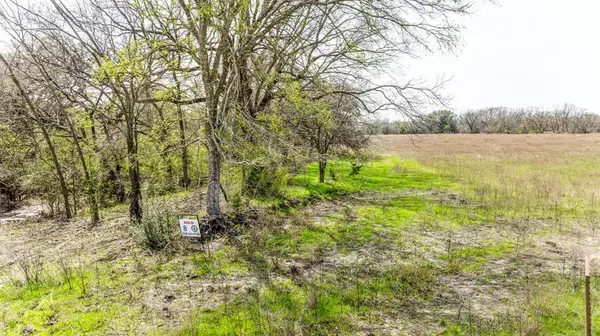 Hico, TX 76457,Lot 8 Ranches at Comanche Point