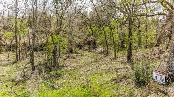 Hico, TX 76457,Lot 8 Ranches at Comanche Point