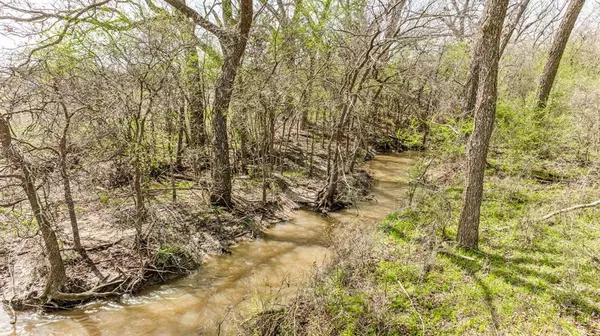 Hico, TX 76457,Lot 8 Ranches at Comanche Point