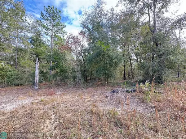 Williston, FL 32696,000 NE 155 CT