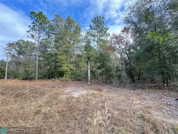 Williston, FL 32696,000 NE 155 CT