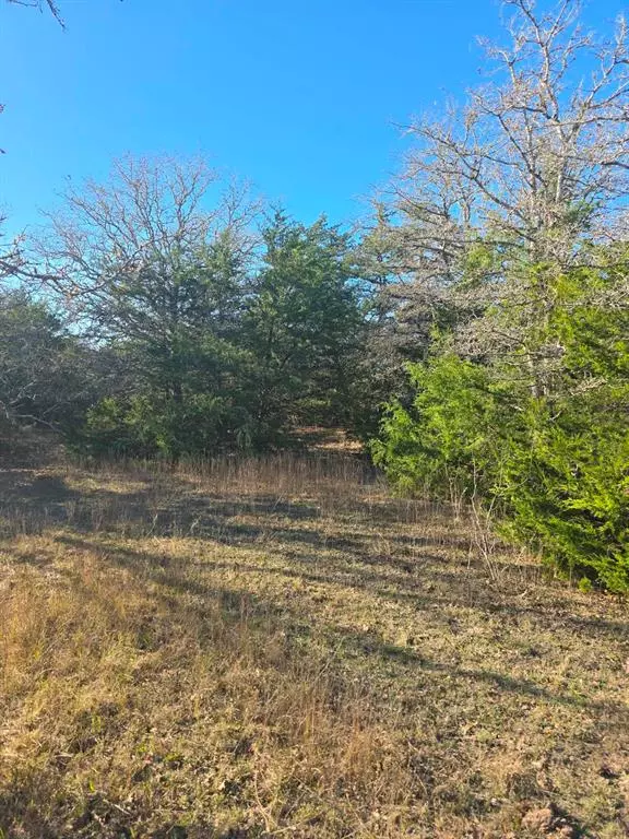 Ledbetter, TX 78946,TBD Hills Road