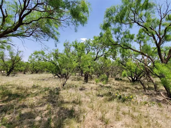 Throckmorton, TX 76483,TBD CR 232