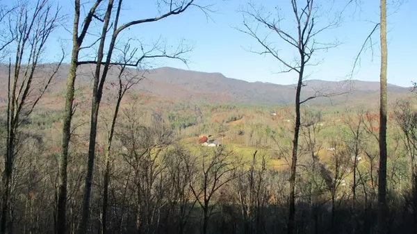 Lot 20 Fly Cast Overlook, Hayesville, NC 28904