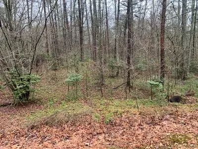 Blairsville, GA 30512,Lot 37 Shady Ridge Road