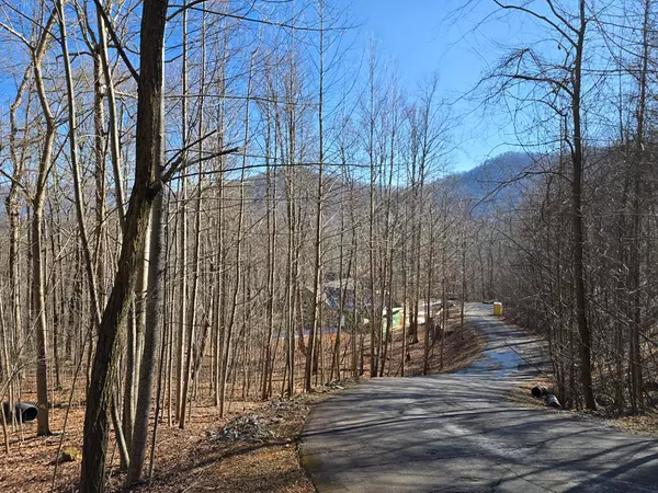 Young Harris, GA 30582,Lot #40 Overlook At Y.H.