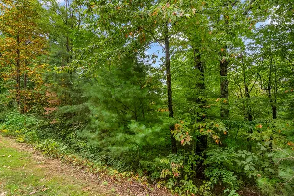 Ellijay, GA 30540,Lot 16 Abbott Mill Road