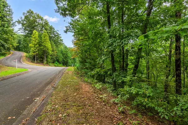 Ellijay, GA 30540,Lot 16 Abbott Mill Road