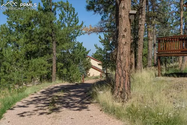 Florissant, CO 80816,54 Arrowhead LN