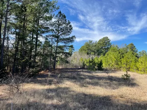 Big Sandy, TX 75755,TBD Persimmon Road