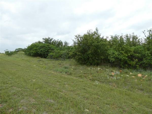 Graford, TX 76449,Lot 294 Shooting Star Court