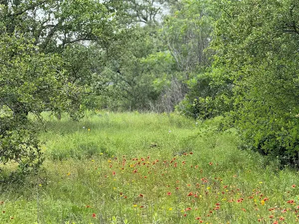 Graford, TX 76449,Lot 294 Shooting Star Court