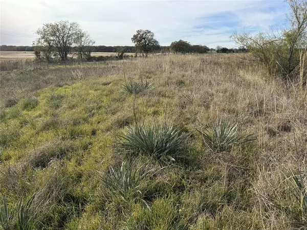 Chico, TX 76431,TBD -A Fm 1655