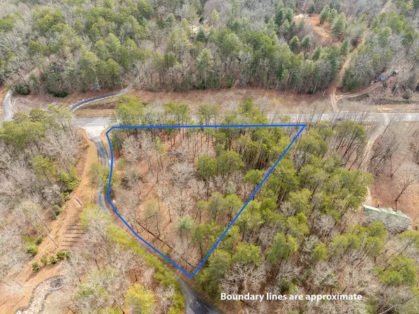 Lot 11 Hawks Ridge Drive, Mineral Bluff, GA 30559