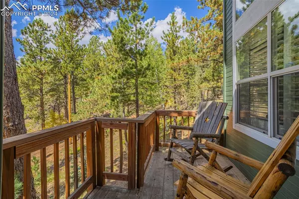 Divide, CO 80814,413 Remwood CIR