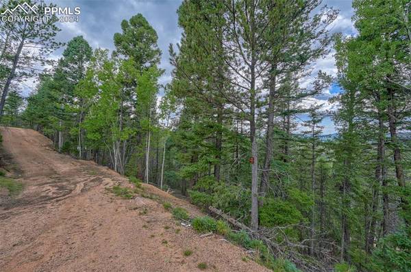 251 Osoeola RD, Woodland Park, CO 80863