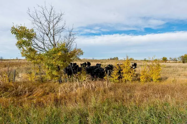 Bruce, AB T0B 4A0,Box 140 Hwy