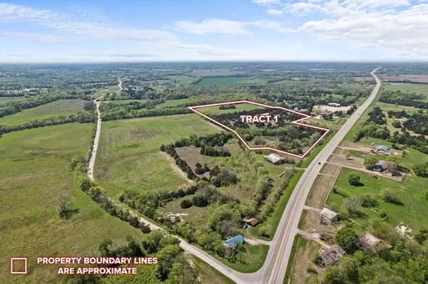 Trenton, TX 75490,TBD 19+/- Tract 1 HIghway 121