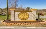 Ellijay, GA 30540,L811 Myna Drive