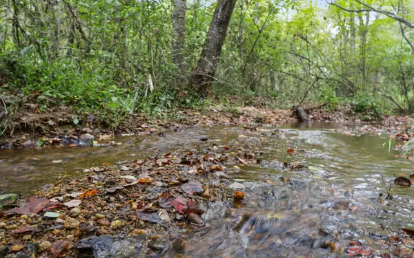 Suches, GA 30572,1955 Cavender Gap Road